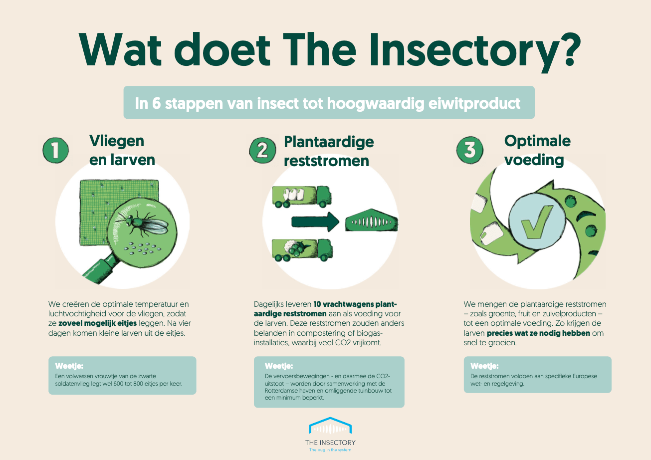 Voorbeeld van een storytelling infographic soort die het goed doet op een stand of beurs