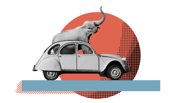 Beeld van een olifant in een auto met op achtergrond een rode zon ter illustratie van fotografie animatie laten maken door animatiestudio Creative Beards